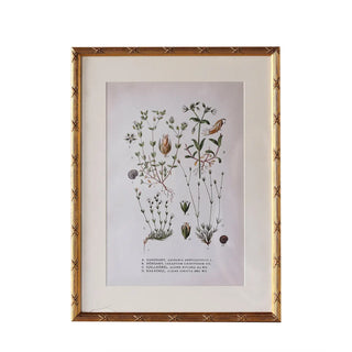 Arundel Matted Frame with Stand