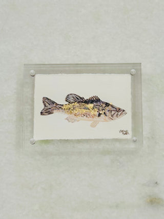Fish in Acrylic Frame