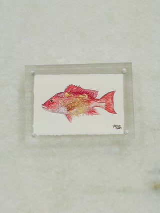 Fish in Acrylic Frame