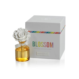 Blossom Fragrance Porcelain Diffuser